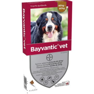 BAYVANTIC VET KOIRILLE 40-60 KG 600/3000 mg paikallisvaleluliuos 4x6 ml